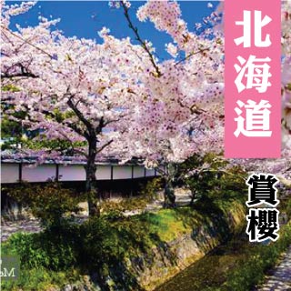 日本北海道漫步賞櫻三大蟹海鮮溫泉美食五天
